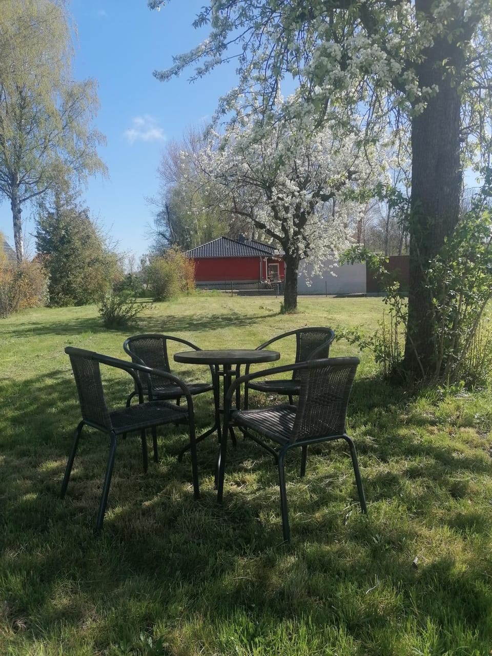 Garden, Dining area