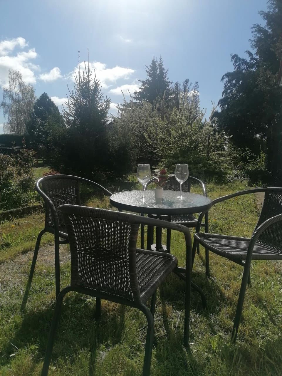 Garden, Dining area, Garden view
