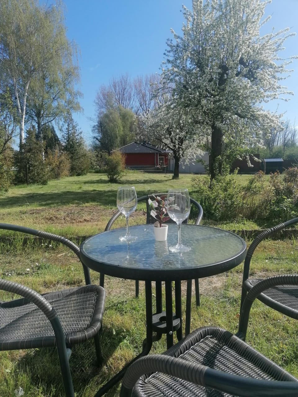 Garden, Dining area, Garden view