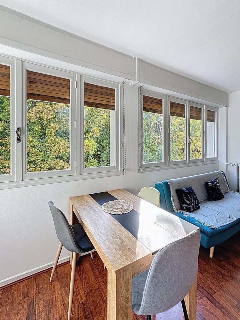 Cosy F2 Royat Thermes Apartment in Clermont-Ferrand