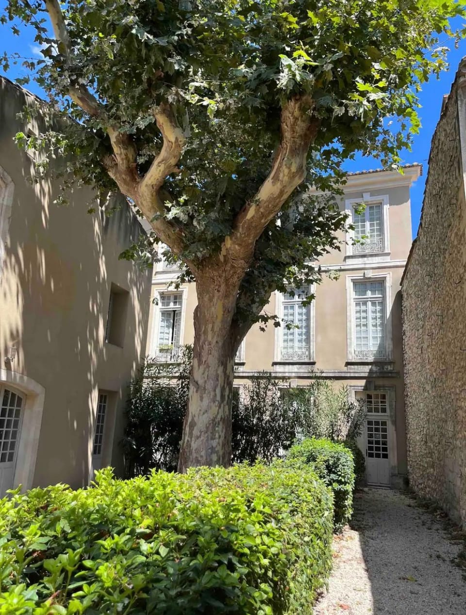 Property building, Garden view