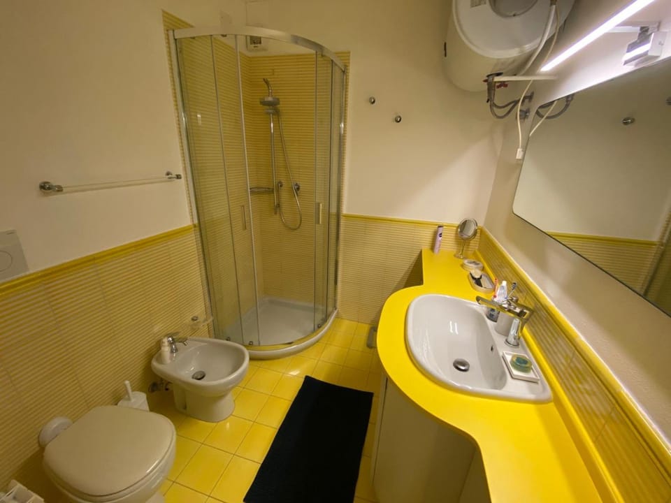 Shower, Toilet, Bathroom, bidet