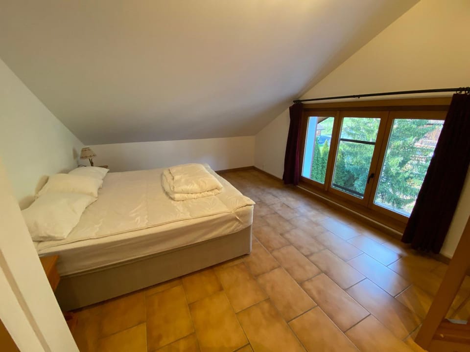 Duplex spacieux 20 pers à 300m des pistes à La Chapelle-d'Abondance Apartment in Haute-Savoie