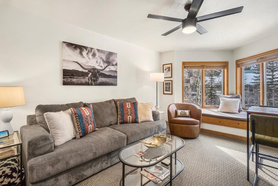 Riverfront, blocks to ski - Mtn Views, Hot Tub at Viking Lodge 217 condo Apartment in Telluride