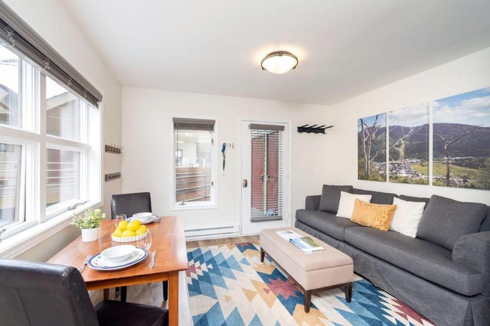 Cloud Nine, Walk to Gondola, Top Floor on River & Hot Tub condo Apartment in Telluride