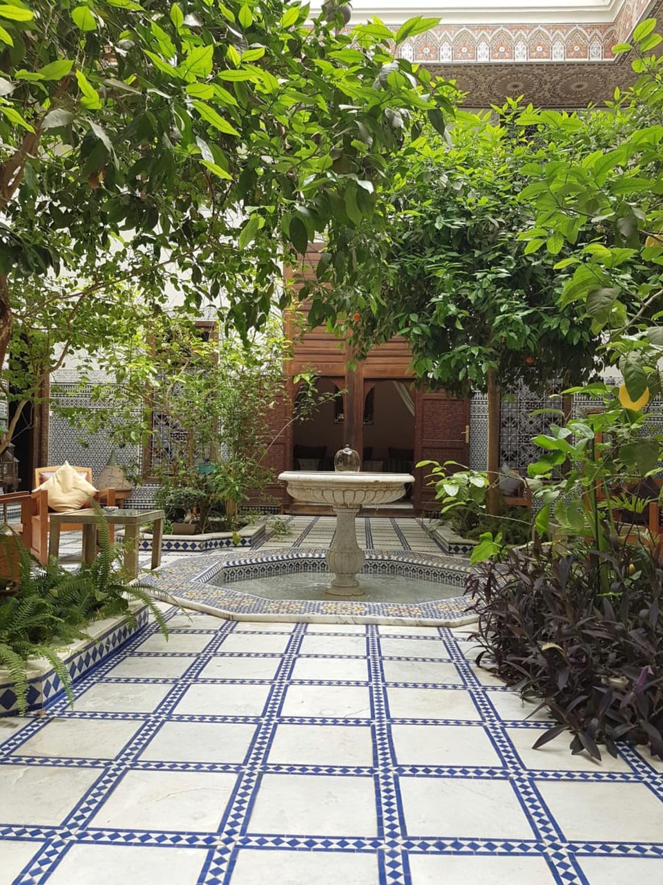 Garden