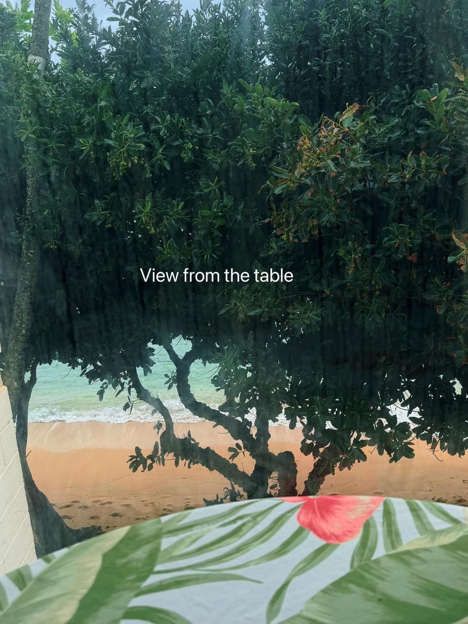 Beachfront 180 Degree Ocean View Monthly Rental Apartment in Punaluu