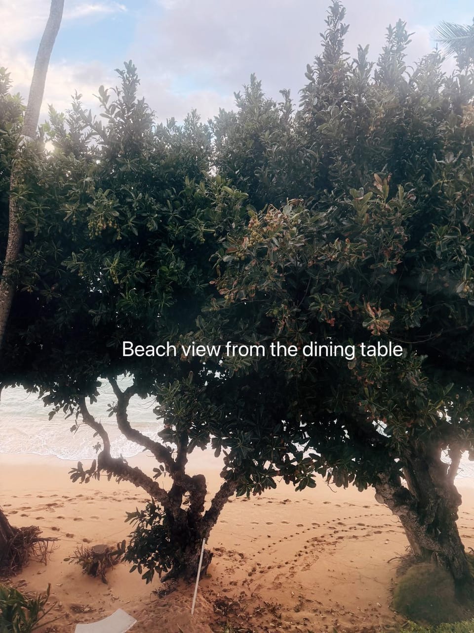 Beachfront 180 Degree Ocean View Monthly Rental Apartment in Punaluu