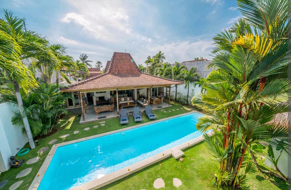 Garden, Garden view, Swimming pool