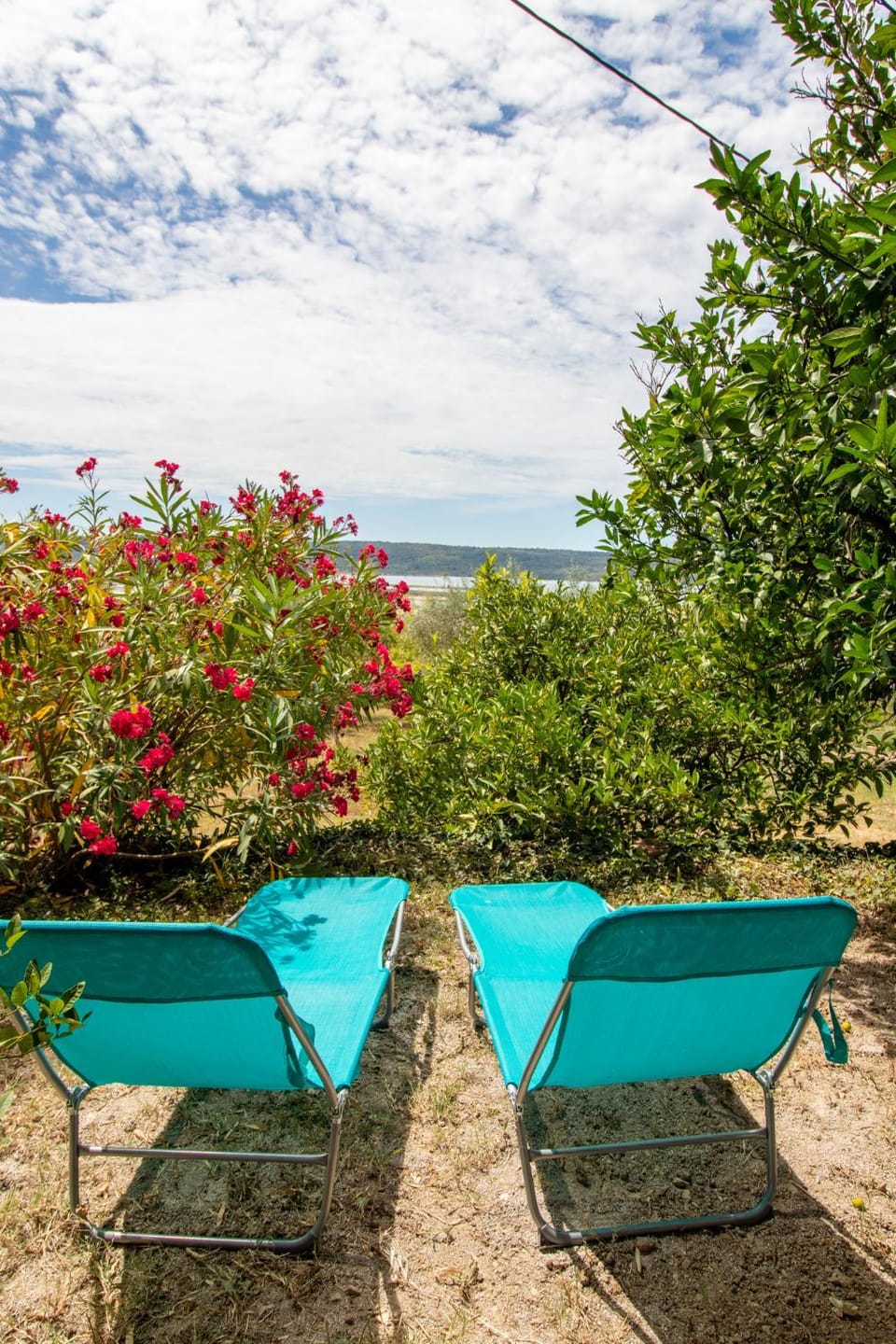 Natural landscape, Garden, Garden view, Sea view