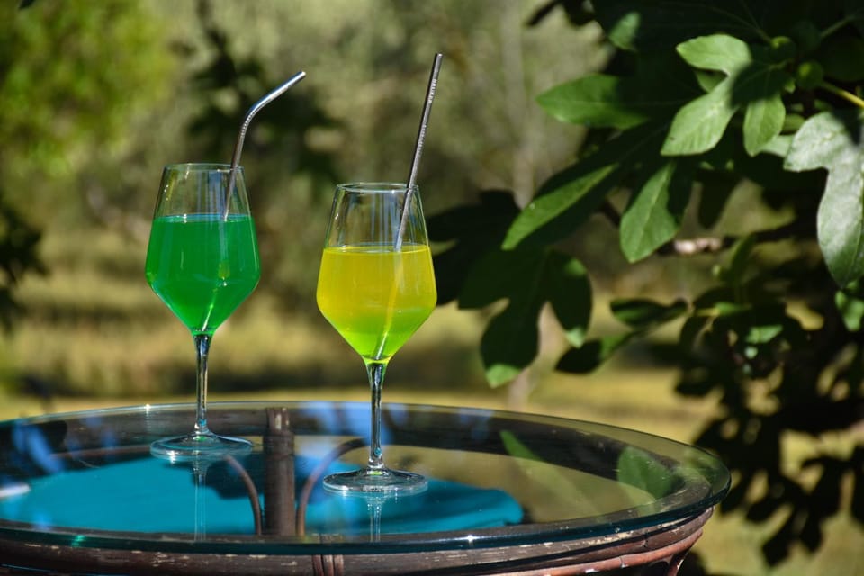 View (from property/room), Balcony/Terrace, Seating area, Garden view, Sea view, Drinks