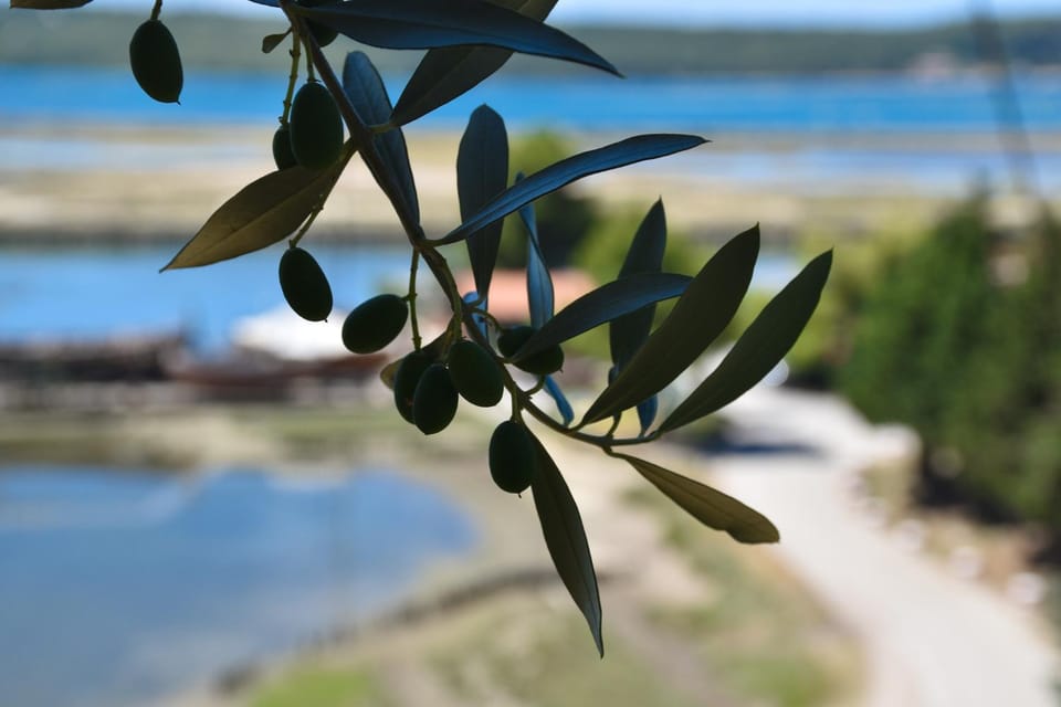 Natural landscape