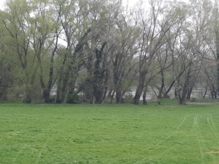 River view