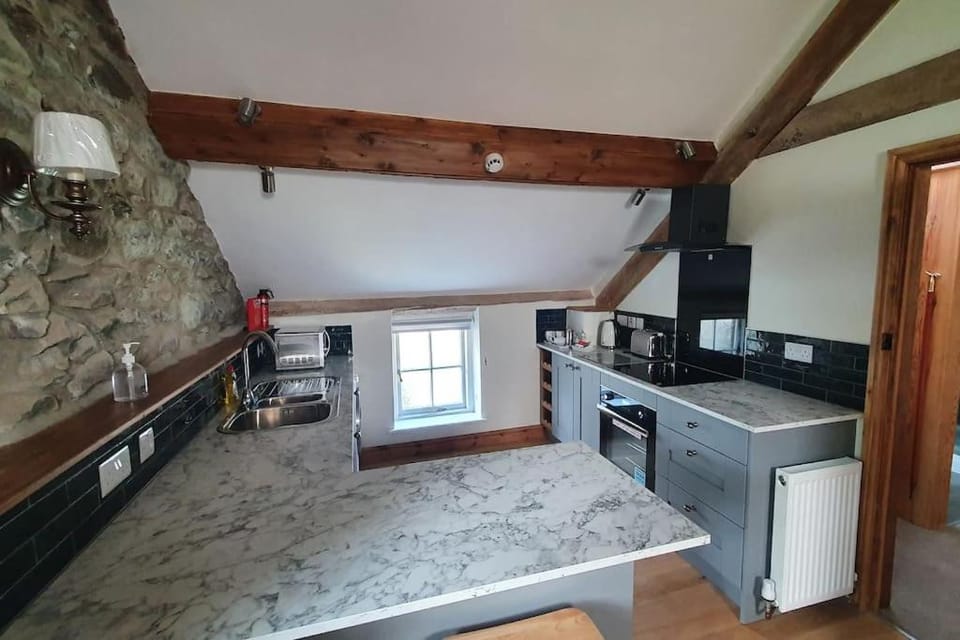 Kitchen or kitchenette, Photo of the whole room, dishwasher, minibar, pet friendly, stove, toaster