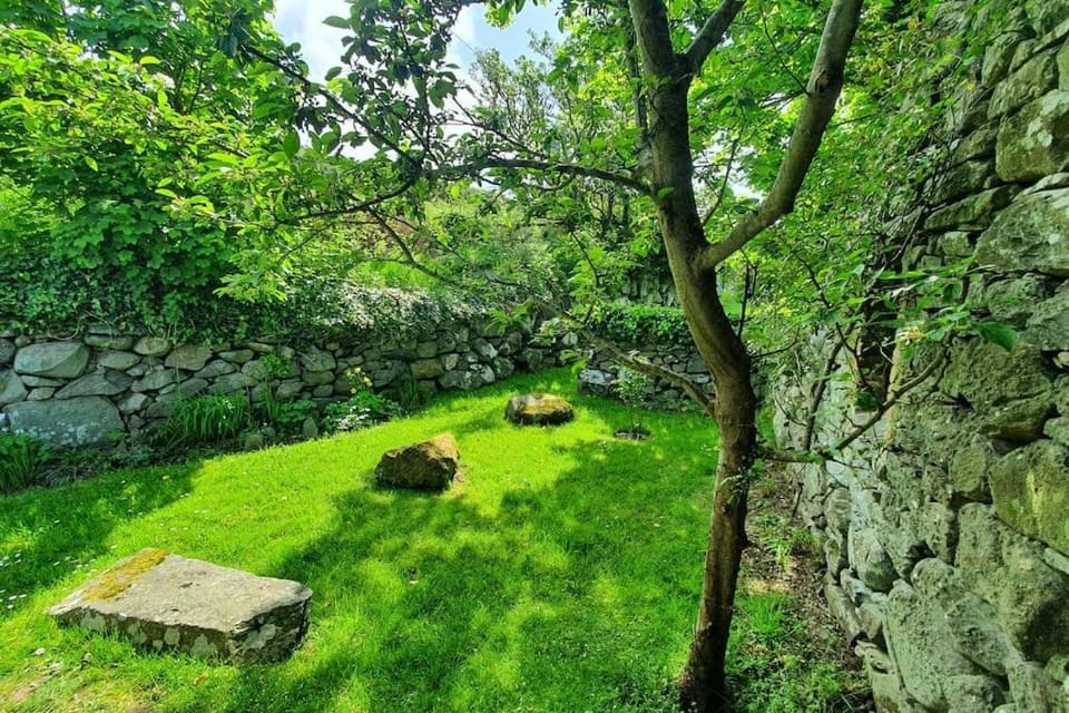 Spring, Natural landscape, Garden, Garden view