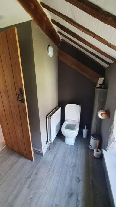 Toilet, Bathroom