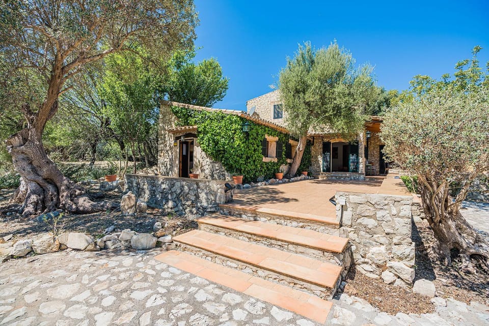 Property building, Garden view
