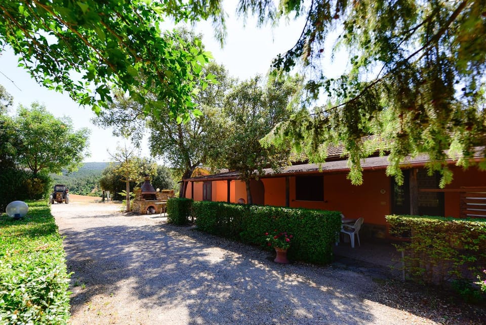 Property building, Day, Garden