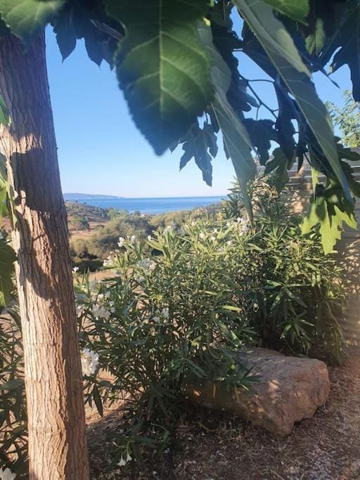 Studio mitoyen à la campagne après de la mer House in Corsica