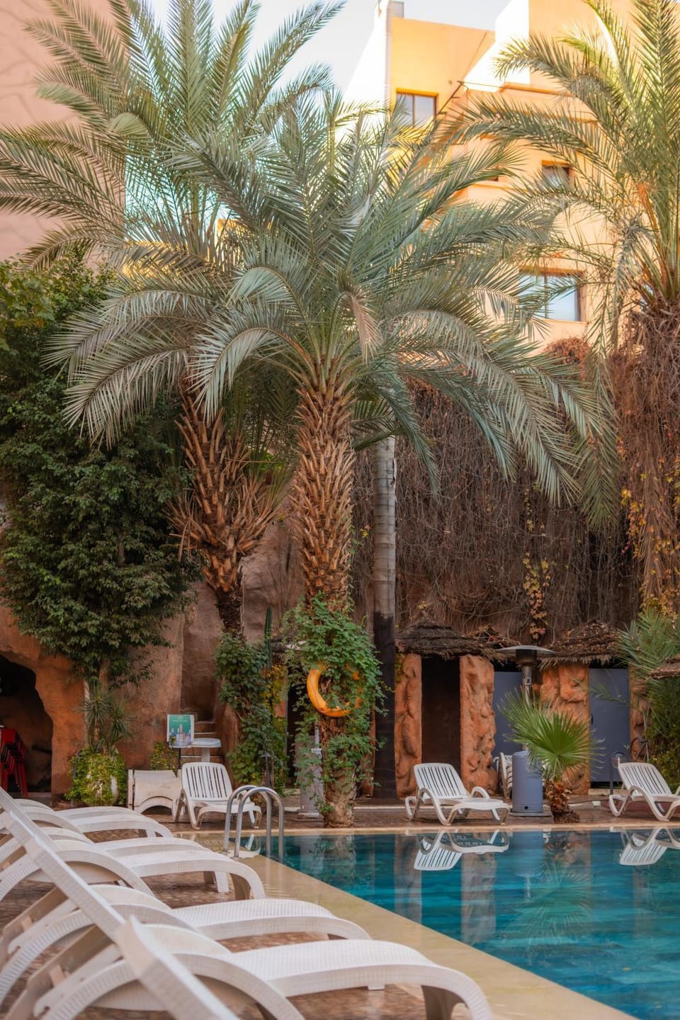 Patio, Day, Garden, Garden, Garden view, Pool view, Swimming pool, Swimming pool, sunbed