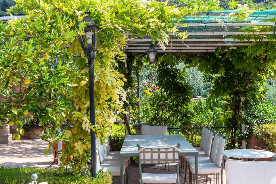 Patio, Garden