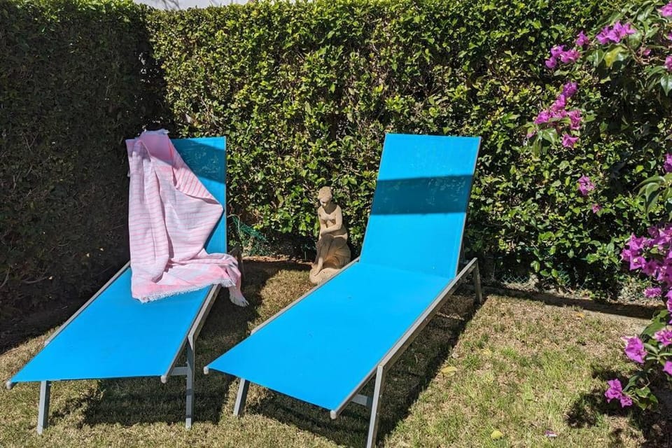 Day, Garden, Garden view