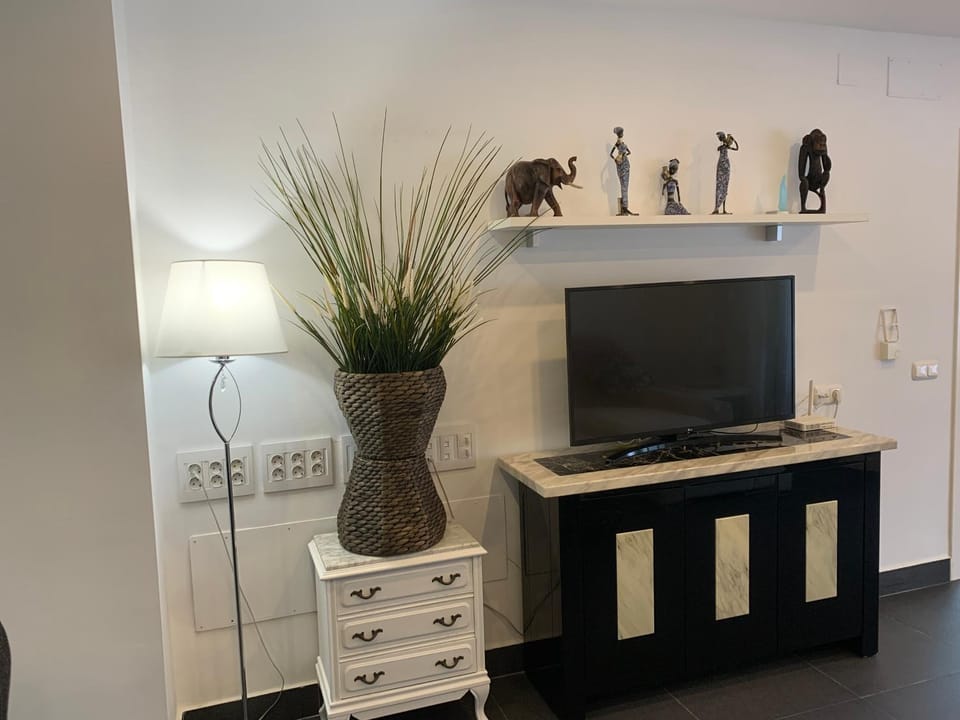 TV and multimedia