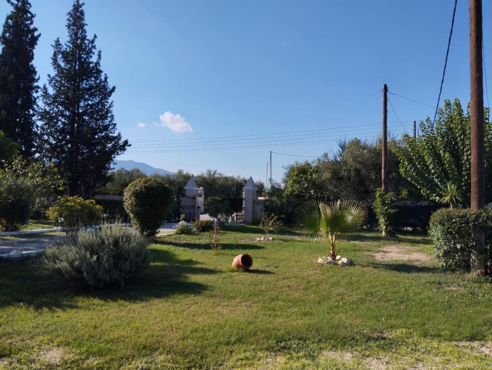 Spring, Day, Natural landscape, Garden, Garden view