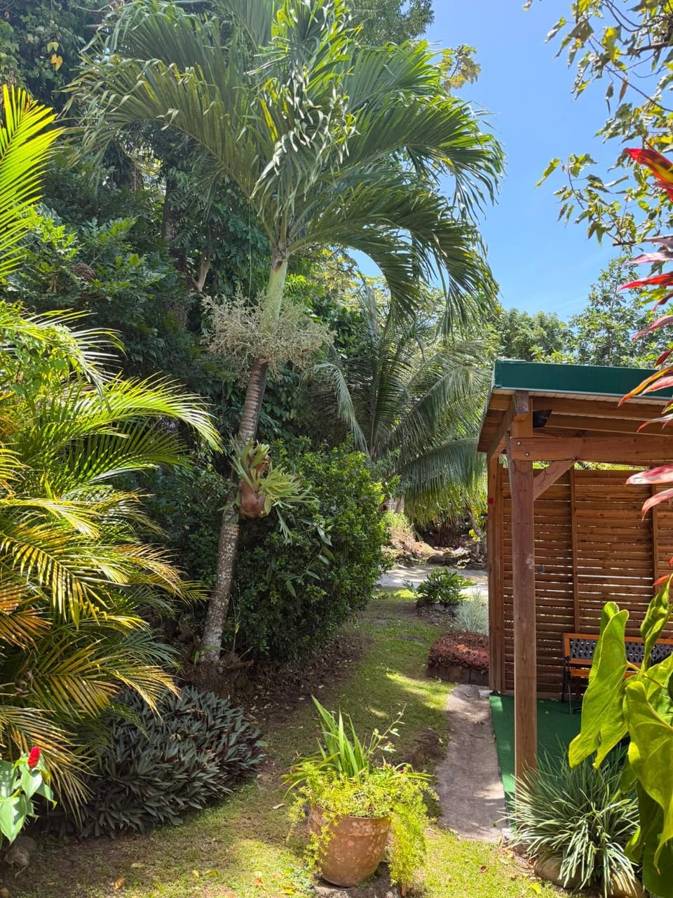 Appartement T2 calme, paisible et climatisé à Trois-Rivières Apartment in Leeward Islands