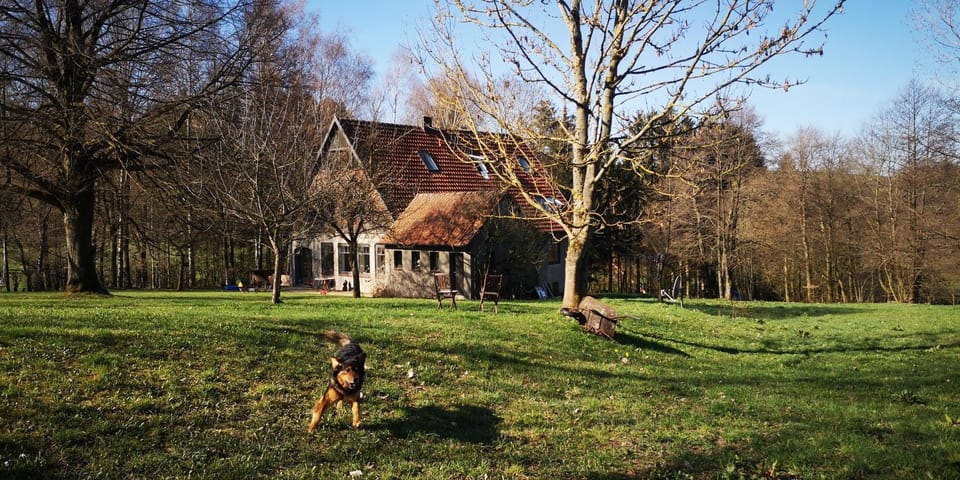 Property building, Garden