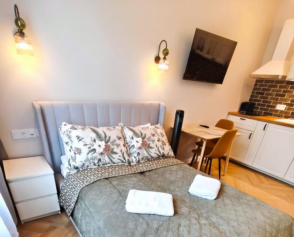 Bed, TV and multimedia, Kitchen or kitchenette, Photo of the whole room, towels