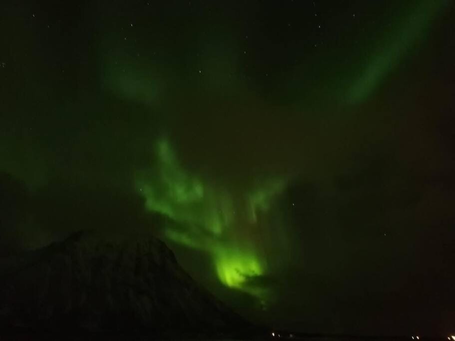 Cozy house - Strønstad @the start of Lofoten House in Lofoten