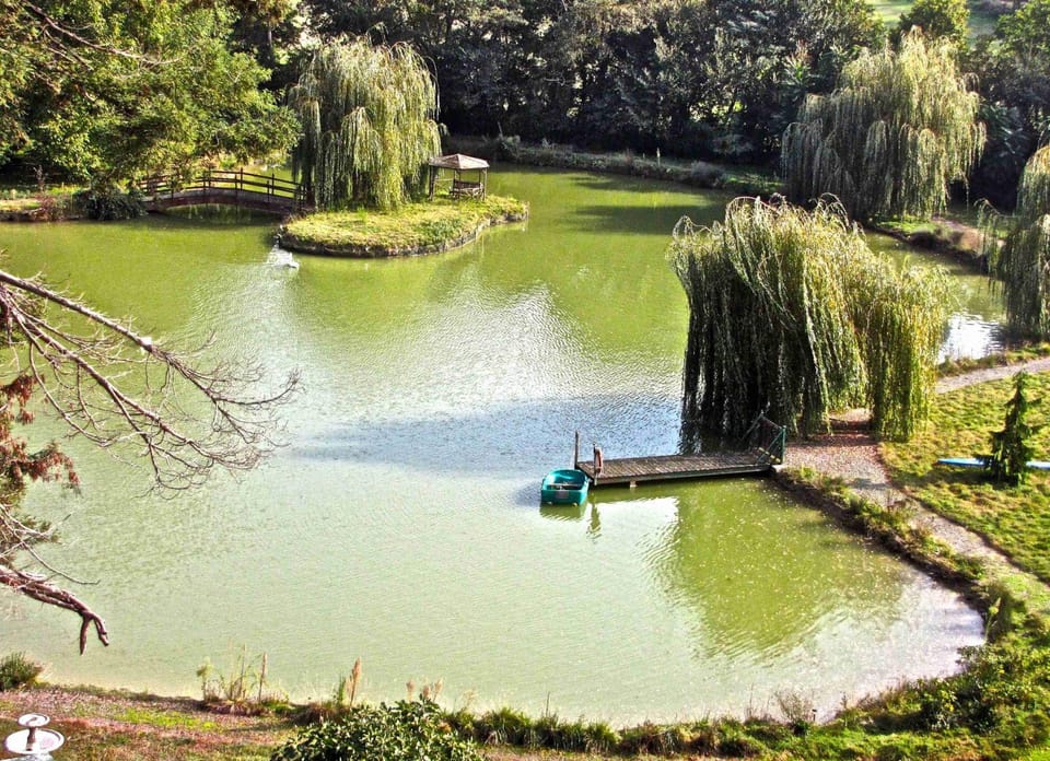 Lake view