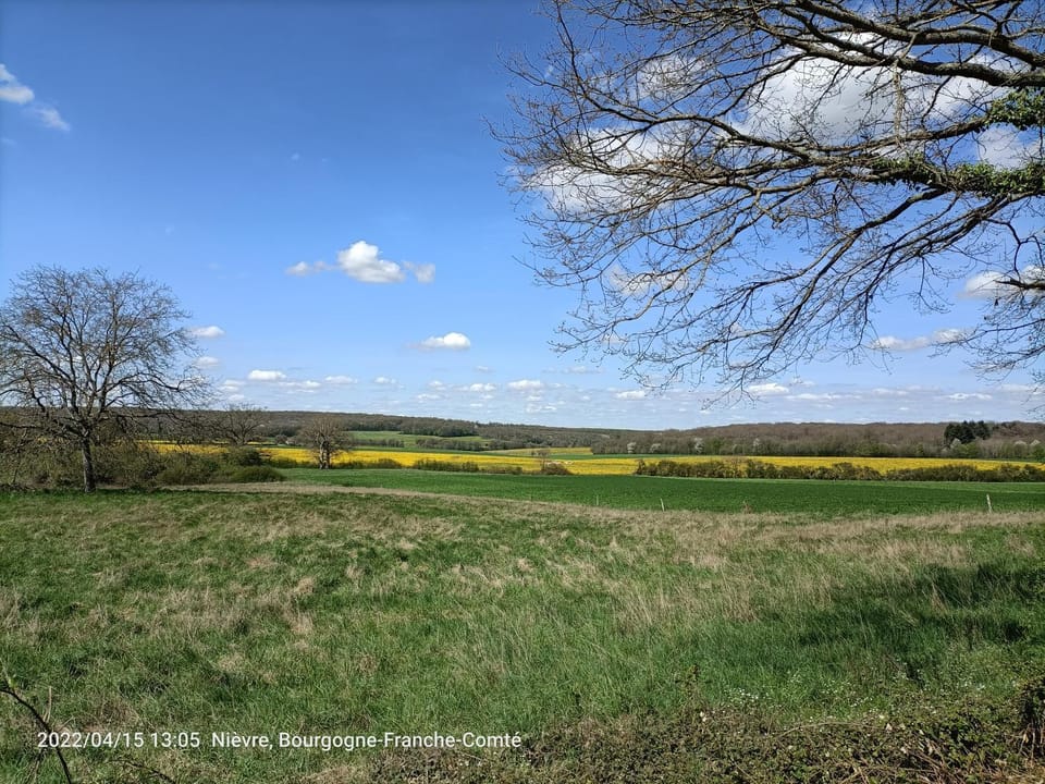Natural landscape