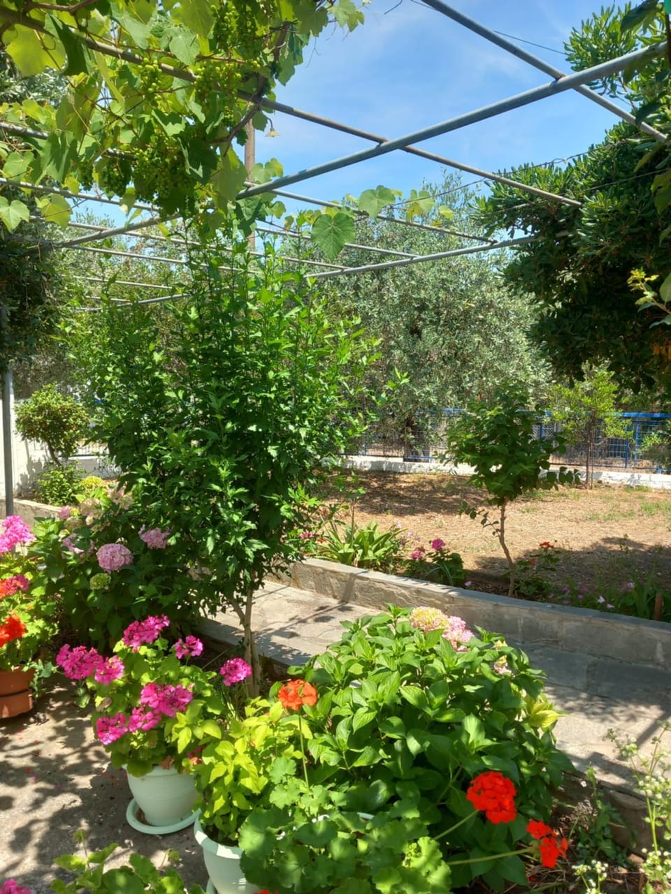 Garden, Garden, Garden view
