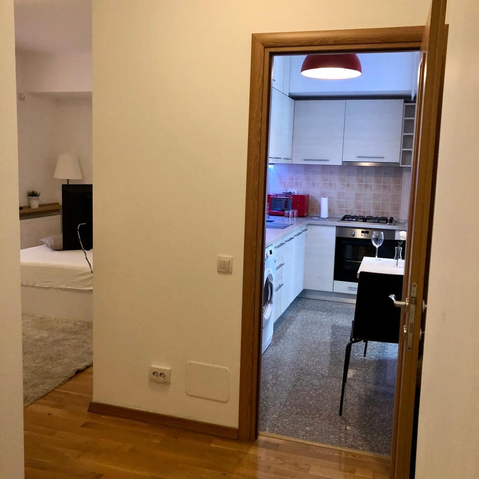 Kitchen or kitchenette, minibar, pet friendly, stove
