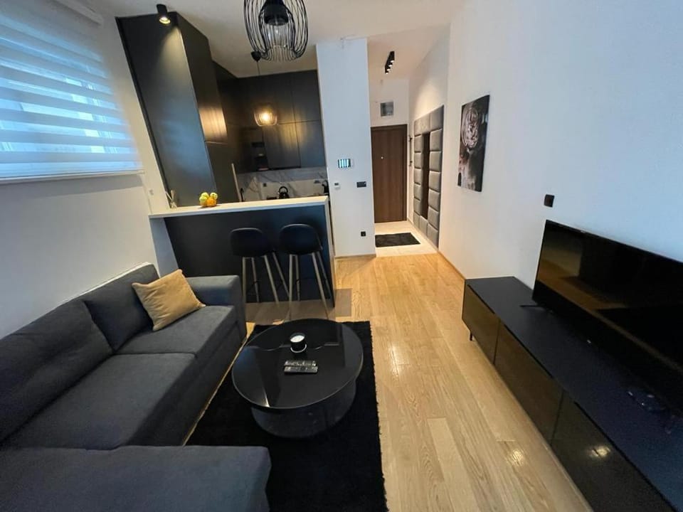 LL65 Apartments Vracar Apartment in Belgrade