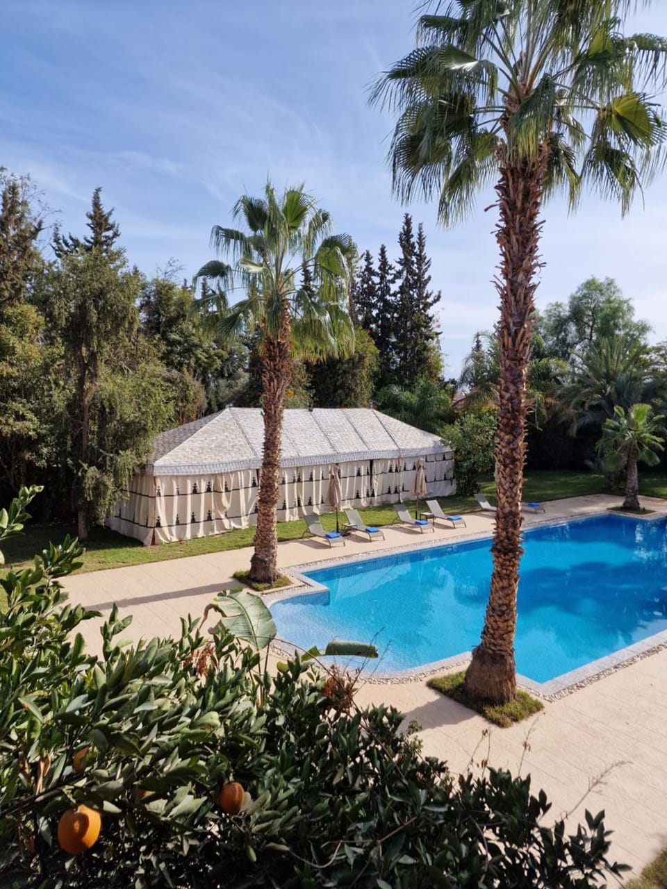 Pool view, Swimming pool