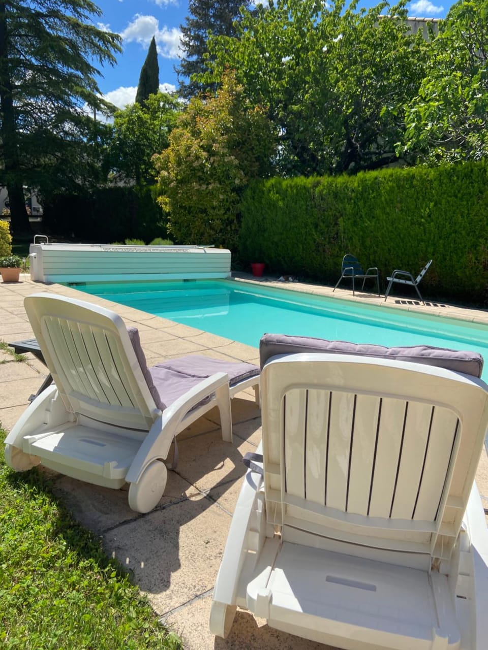 Day, Garden, Garden view, Pool view, Swimming pool, sunbed