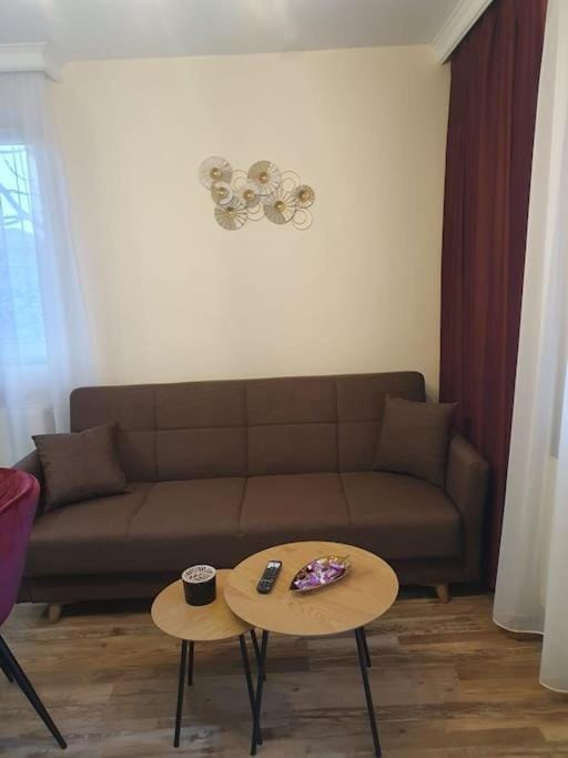 Apartament Mirela Apartment in Sibiu