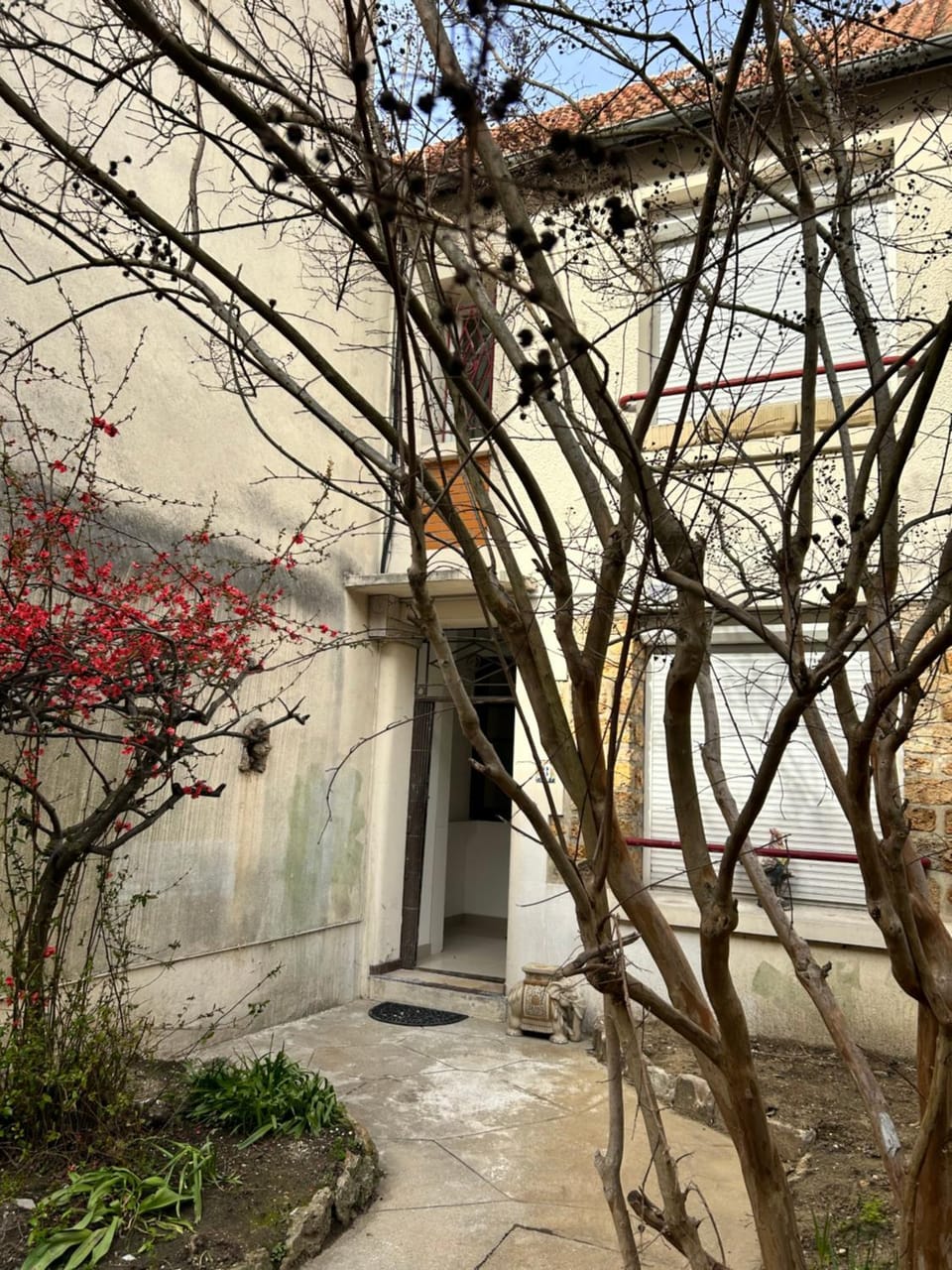 Property building, Spring, Day, Garden, Garden view