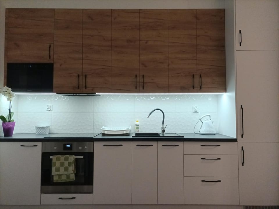 Kitchen or kitchenette, dishwasher, minibar, stove