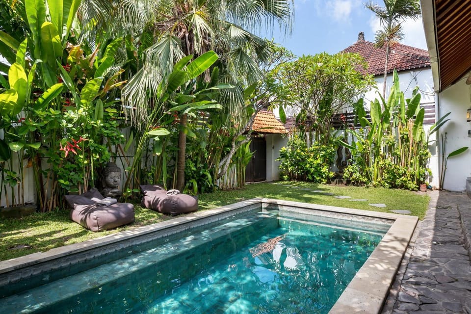 Garden, Garden view, Swimming pool