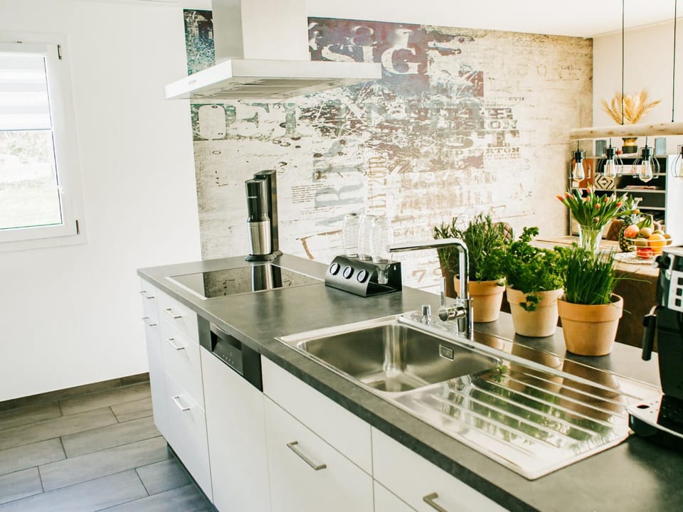 Kitchen or kitchenette, dishwasher, kitchen