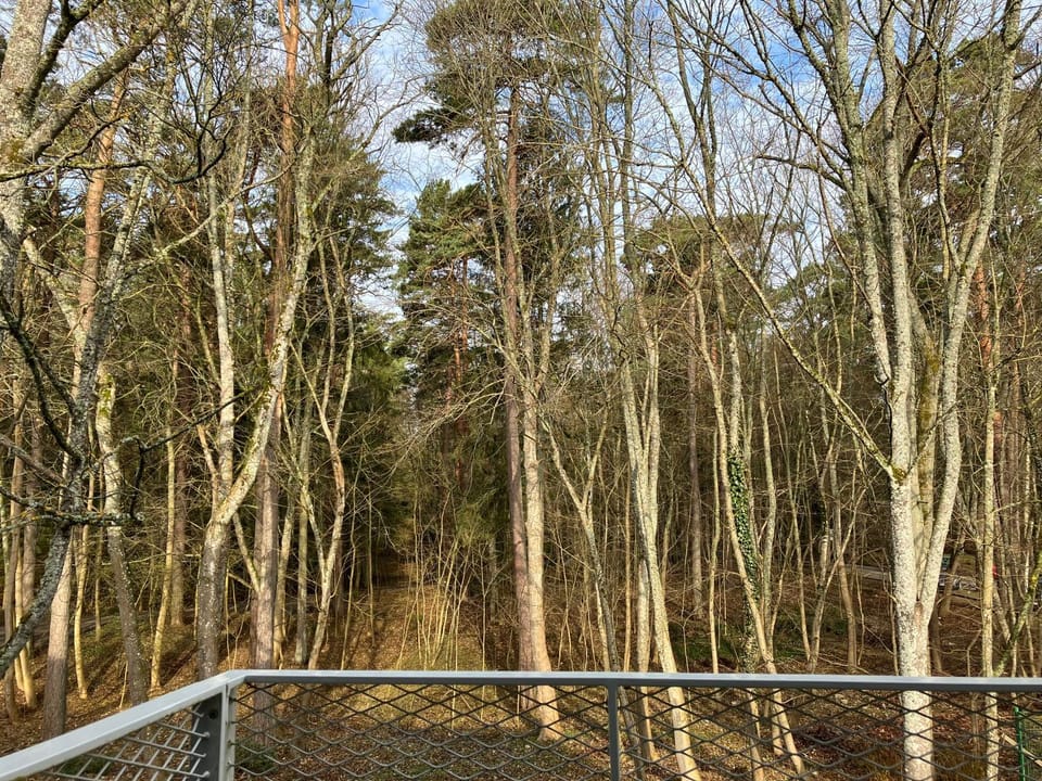 Spring, Day, Natural landscape, View (from property/room)
