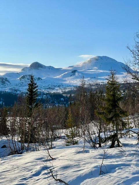 Brand new cabin on the sunny side of Gaustatoppen with a beautiful view Cabin in Viken, Norway