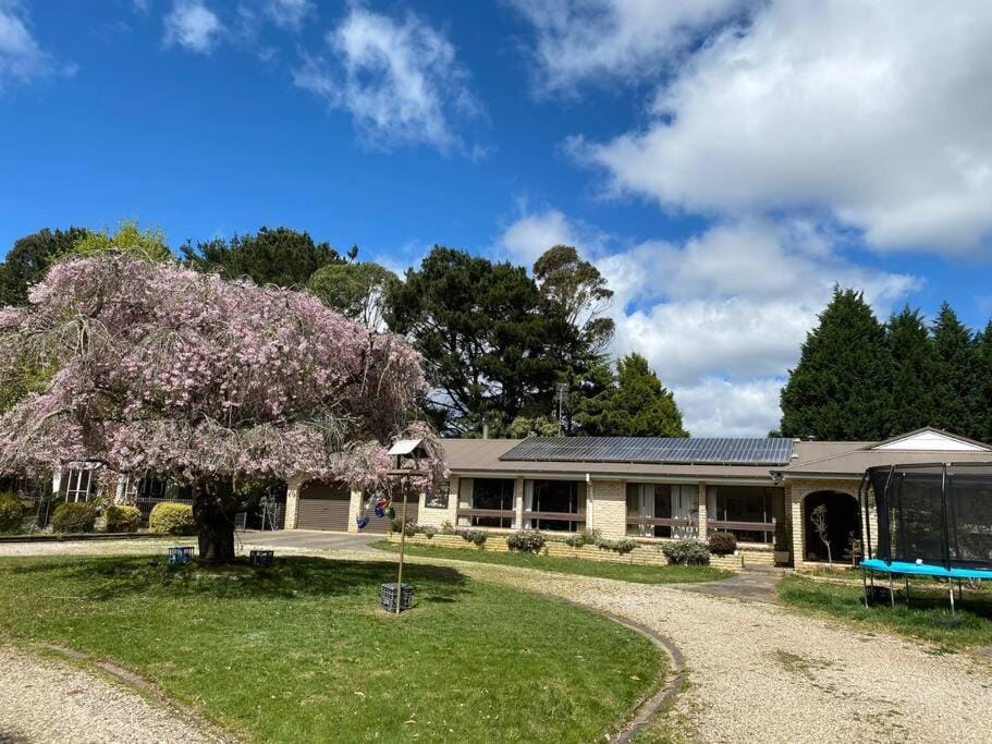 Property building, Spring, Garden view
