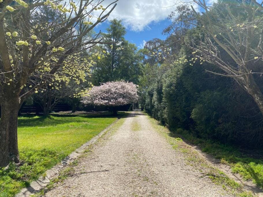 Spring