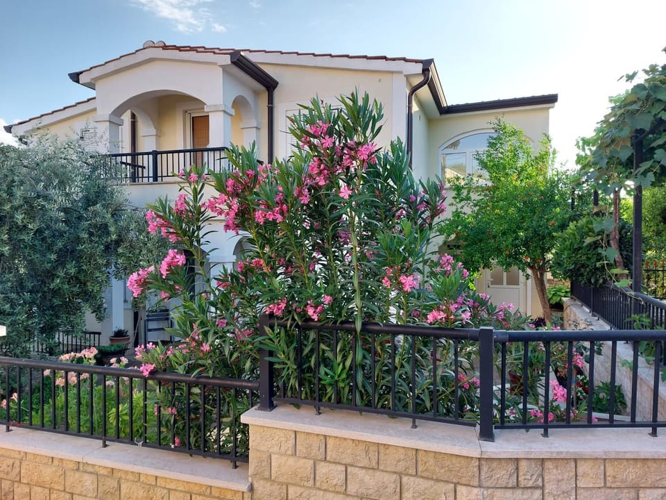 Property building, Day, Garden