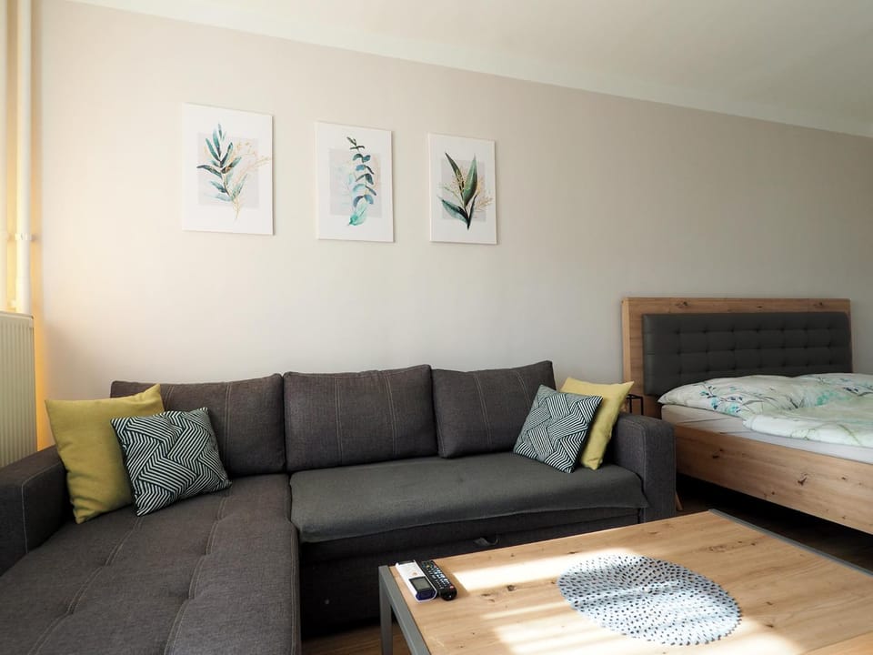 Living room, Bedroom
